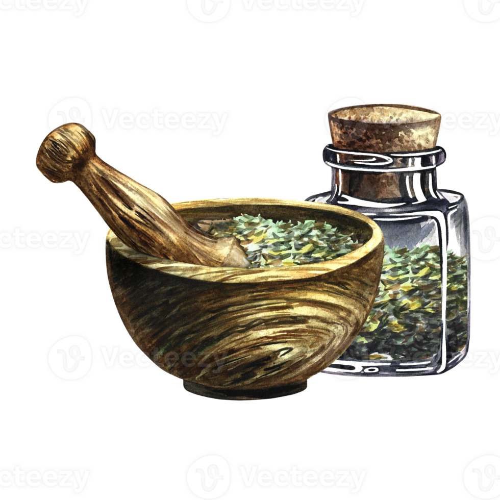 Medicinal herbs. A wooden mortar with crushed grass and a medical glass bottle. Handmade watercolor illustration. A separate composition. For banner, flyer, packaging and label. png
