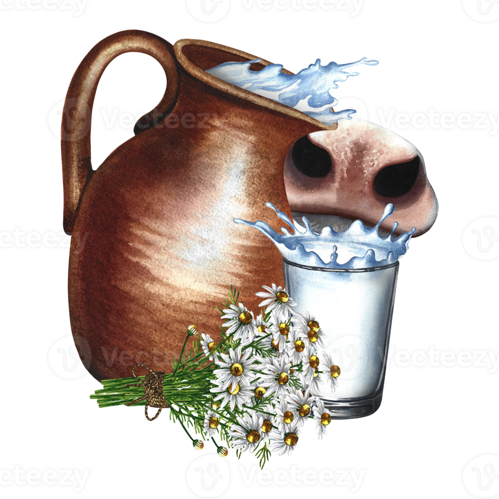 An earthenware jug, a glass of milk and a bouquet of daisies. Composition with milk and cow's nose. A hand-drawn watercolor illustration. For flyers about milk, packaging with labels of dairy products png