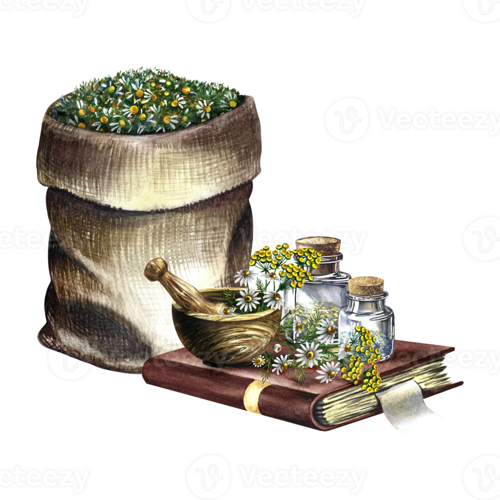 Medicinal herbs. Rustic still life with medicinal herbs. A wooden mortar and glass vials in an old recipe book and a linen bag. Hand-made watercolor illustration. A separate composition. For a banner. png