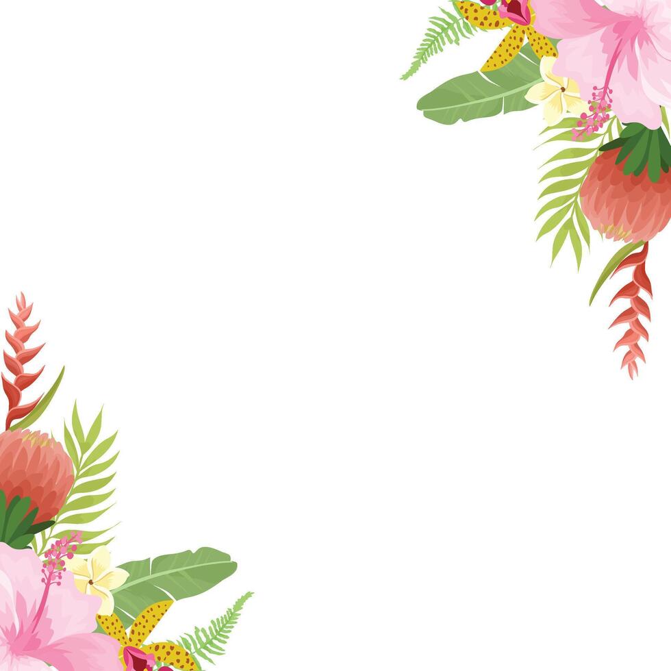 summer border with floral decoration, hibiscus, bird of paradise flowers, wild orchids and tropical plants. Summer illustration vector