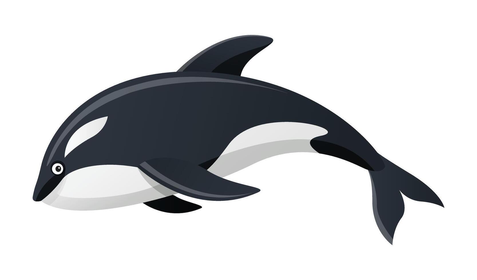 Killer whale cartoon illustration isolated on white background vector