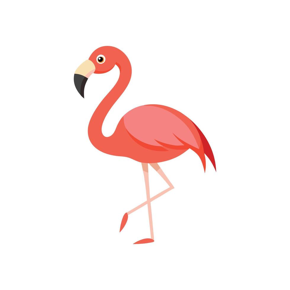 nice flamingo illustration vector