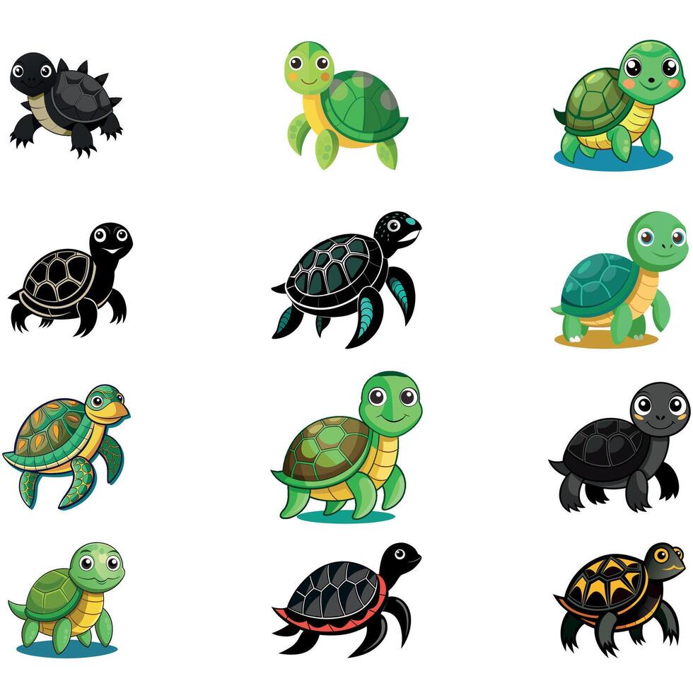 turtle illustration art bundle vector