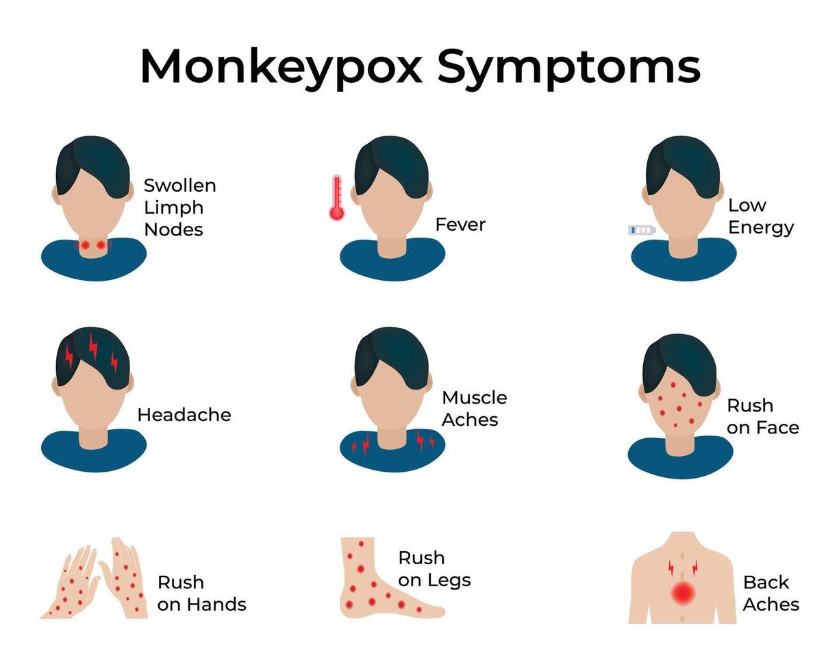 Monkypox Symptoms Design Illustration vector