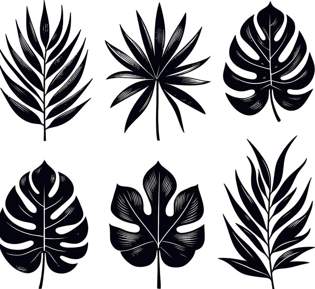 Set Of Tropical Leaves Black Silhouettes Isolated On White Background Hand Drawn Illustration vector