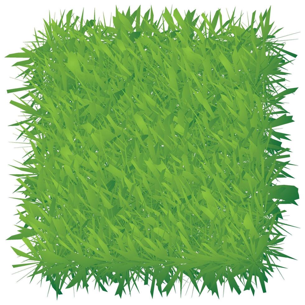 Green grass texture background illustration. Eps 10. vector