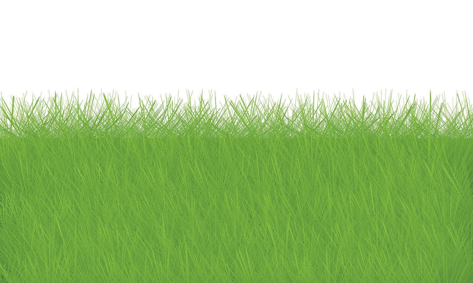 Green grass background illustration vector