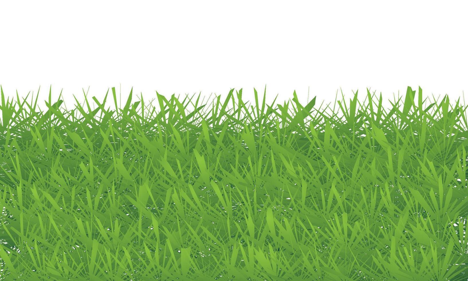 Green grass texture on white background illustration vector