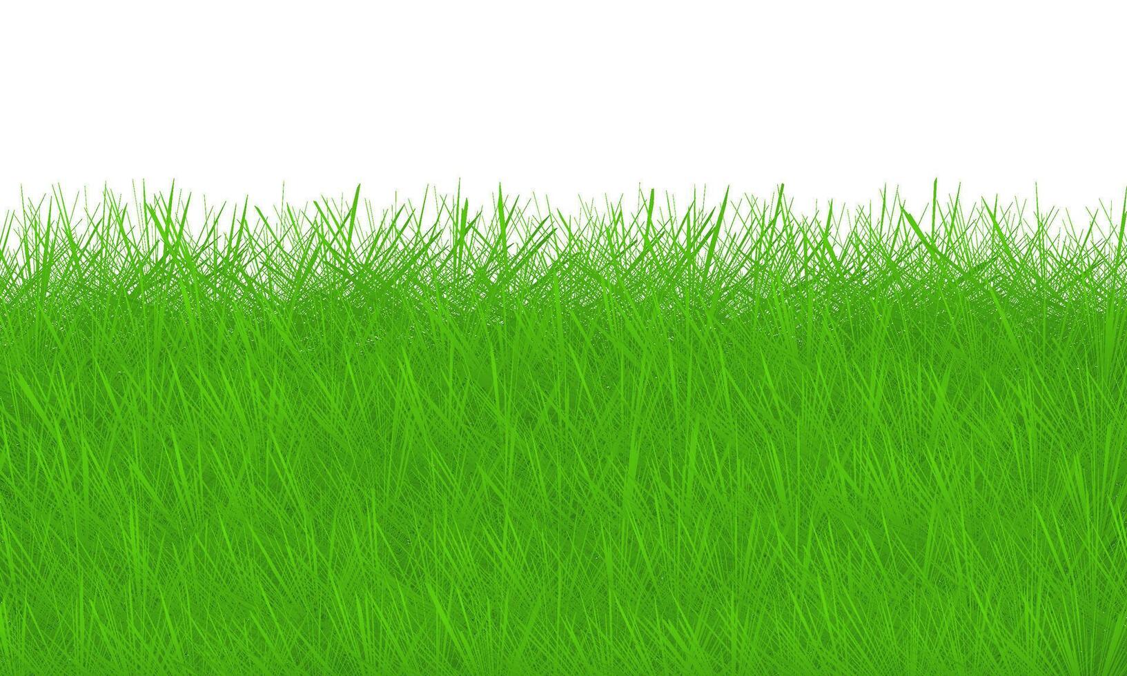Green grass background on white background illustration vector