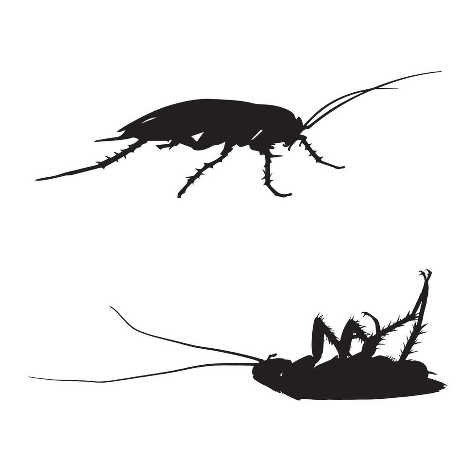 Cockroach Silhouette Illustration Insect Art vector