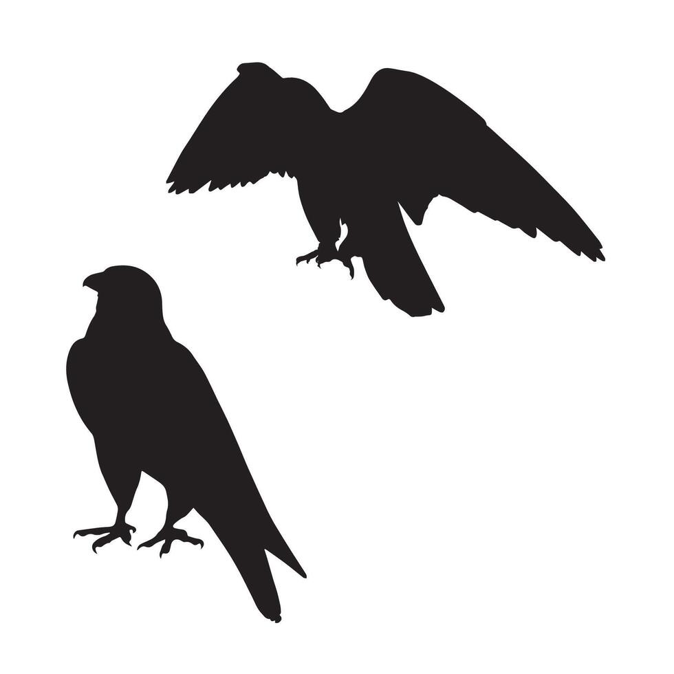 Falcon Silhouette Illustration Silhouette Perching Art vector