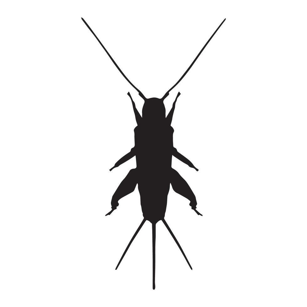Cricket Silhouette Illustration Art vector