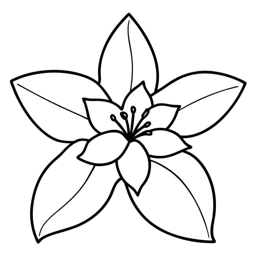 Graceful Jasmine Floral Line Art and Silhouette Illustration vector