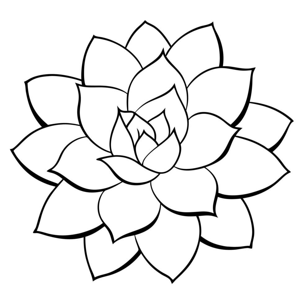 Echeveria Blue Sky Minimalist Silhouette Design for Trendy Plant Graphics vector