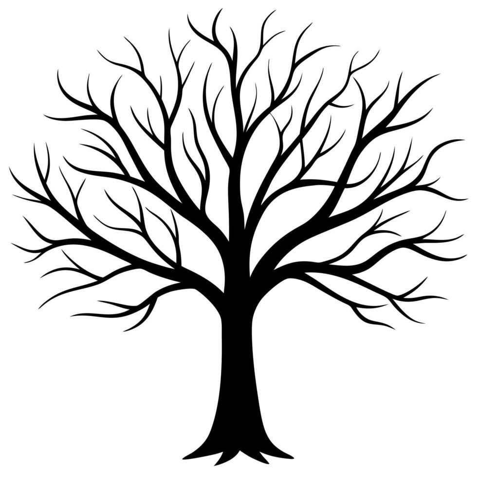 Black Silhouette of a Leafless Tree with Detailed Branches and Roots Illustration vector