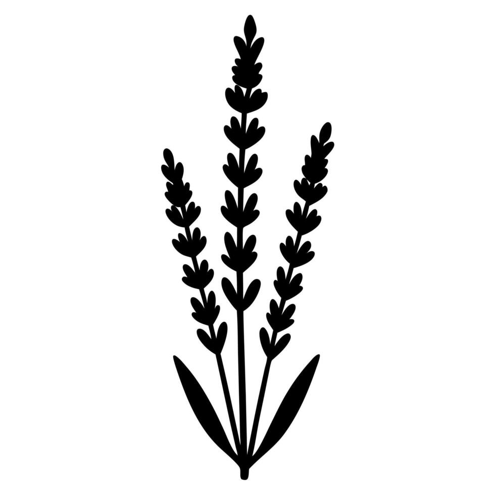 Simple Lavender Silhouette Design on Pure vector