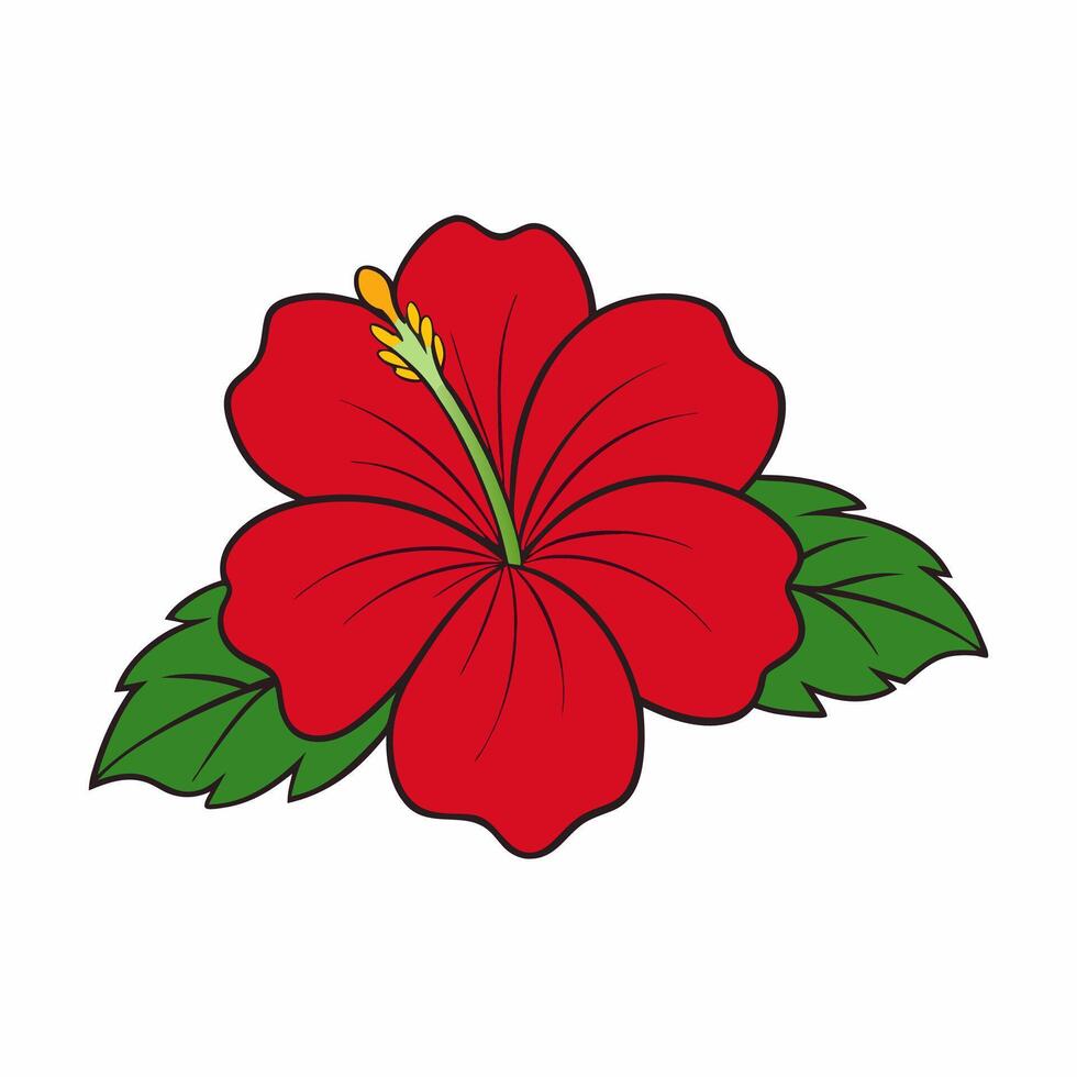 Beautiful Hibiscus Bloom on Clean White Background for Graphic Use vector