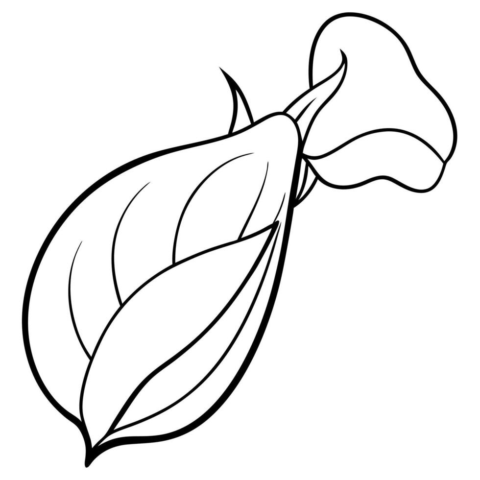 Sweet Peas Buds Illustration Design Beautiful Floral Art for Home Decor, Stationery, and Botanical Projects vector