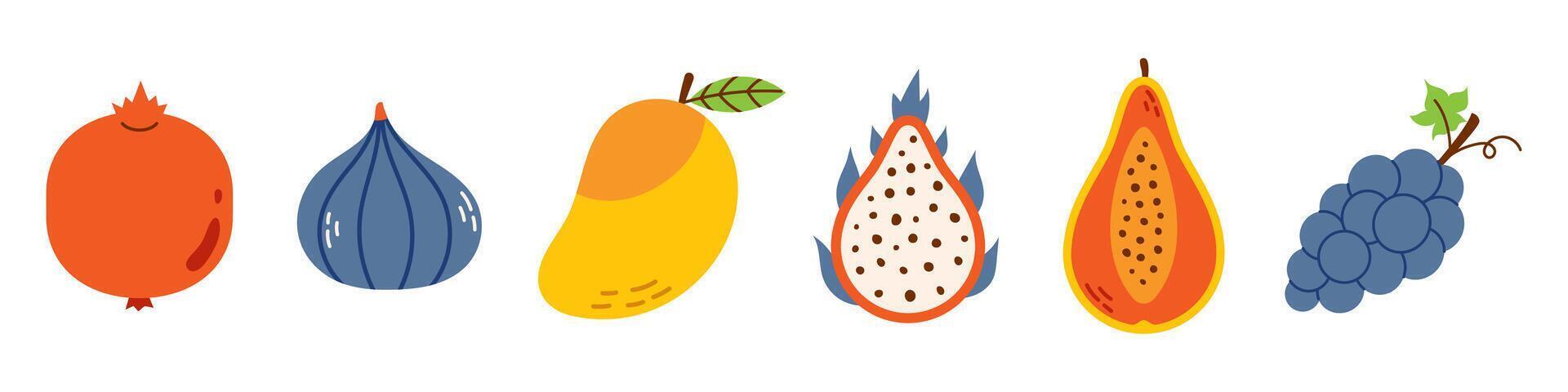 summer cute exotic fruits in flat design. set of tropical fruits. Healthy sweet food. Collection of banana, pomegranate, fig, papaya, dragon fruit, grape and mango. vector