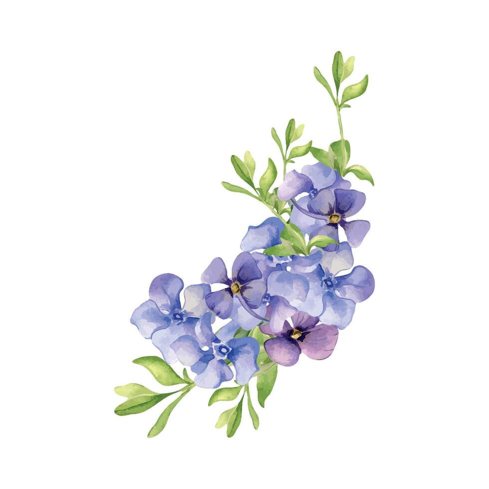 Floral arrangement of blue spring flowers watercolor illustration isolated on white. Composition of periwinkle flowers hand drawn. Blue forget-me-not sketch for greeting card, package, label vector