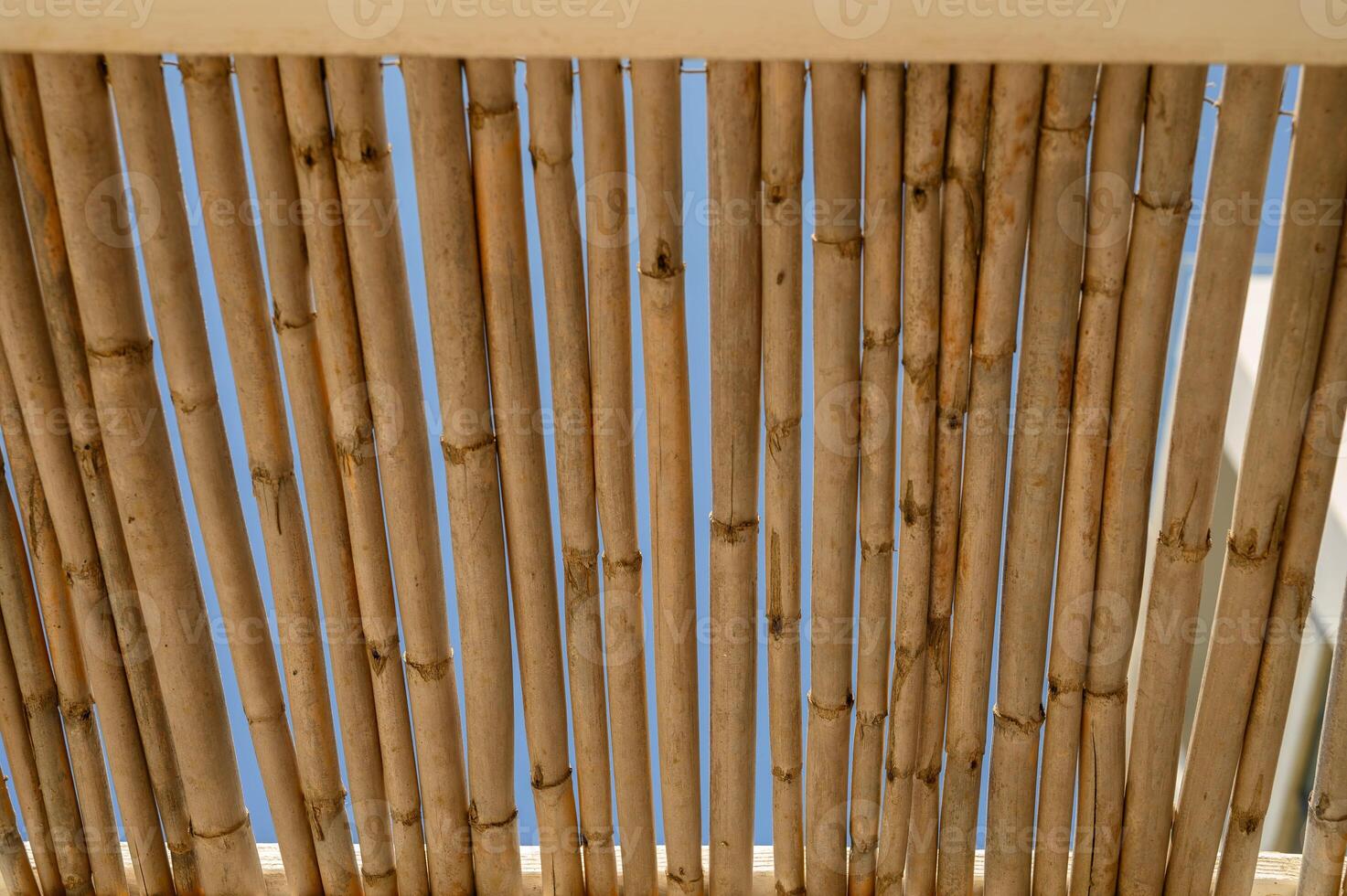 thatched roof for light in summer photo