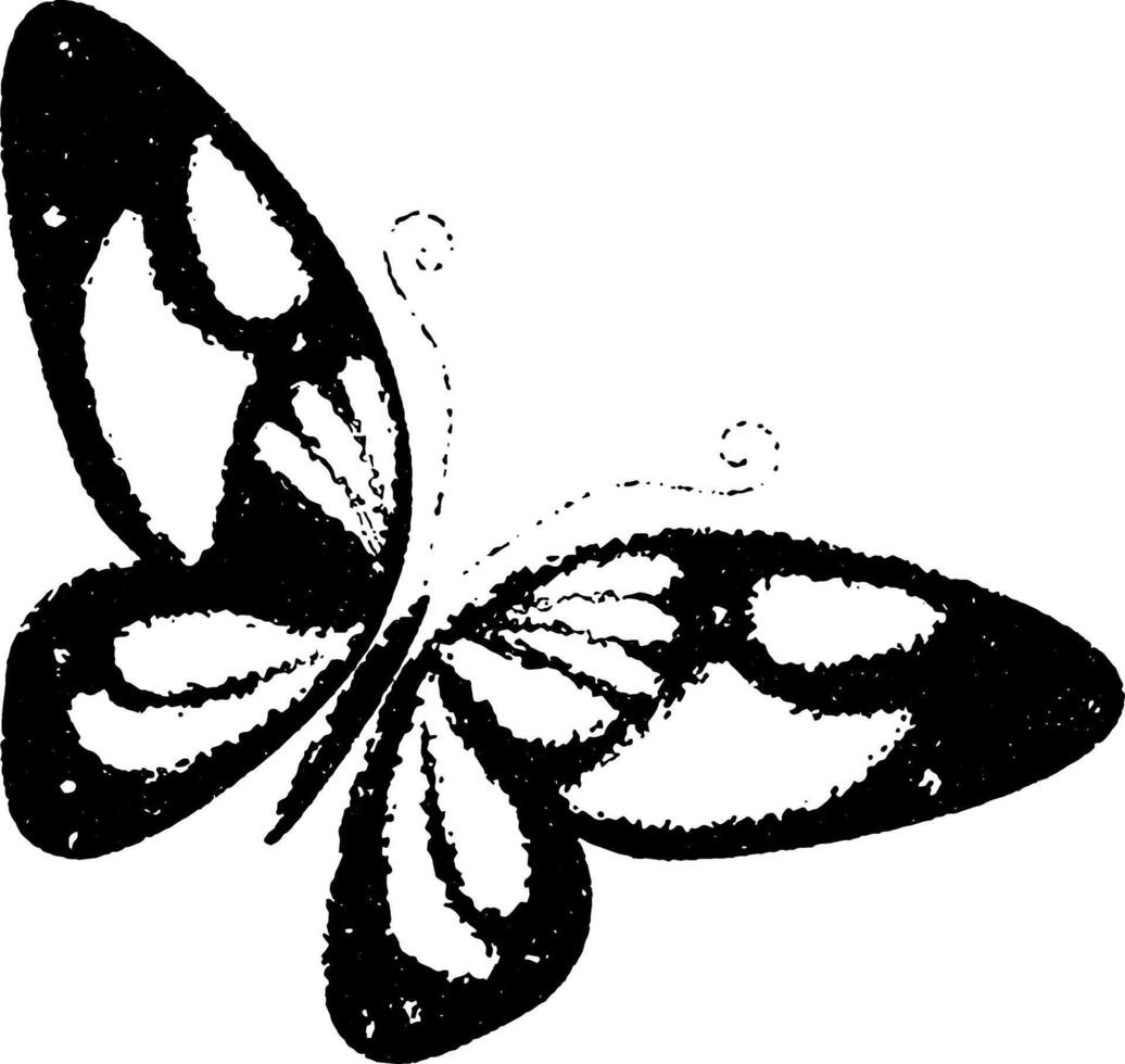 Black and white grunge butterfly illustration with a distressed, vintage look, perfect for retro designs and minimalist graphic projects. illustration vector