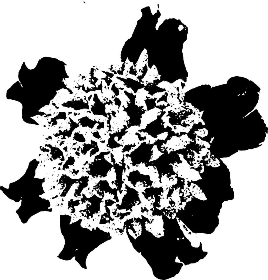 Black and white grunge flower illustration with a distressed, vintage look, perfect for retro designs and minimalist graphic projects. illustration vector