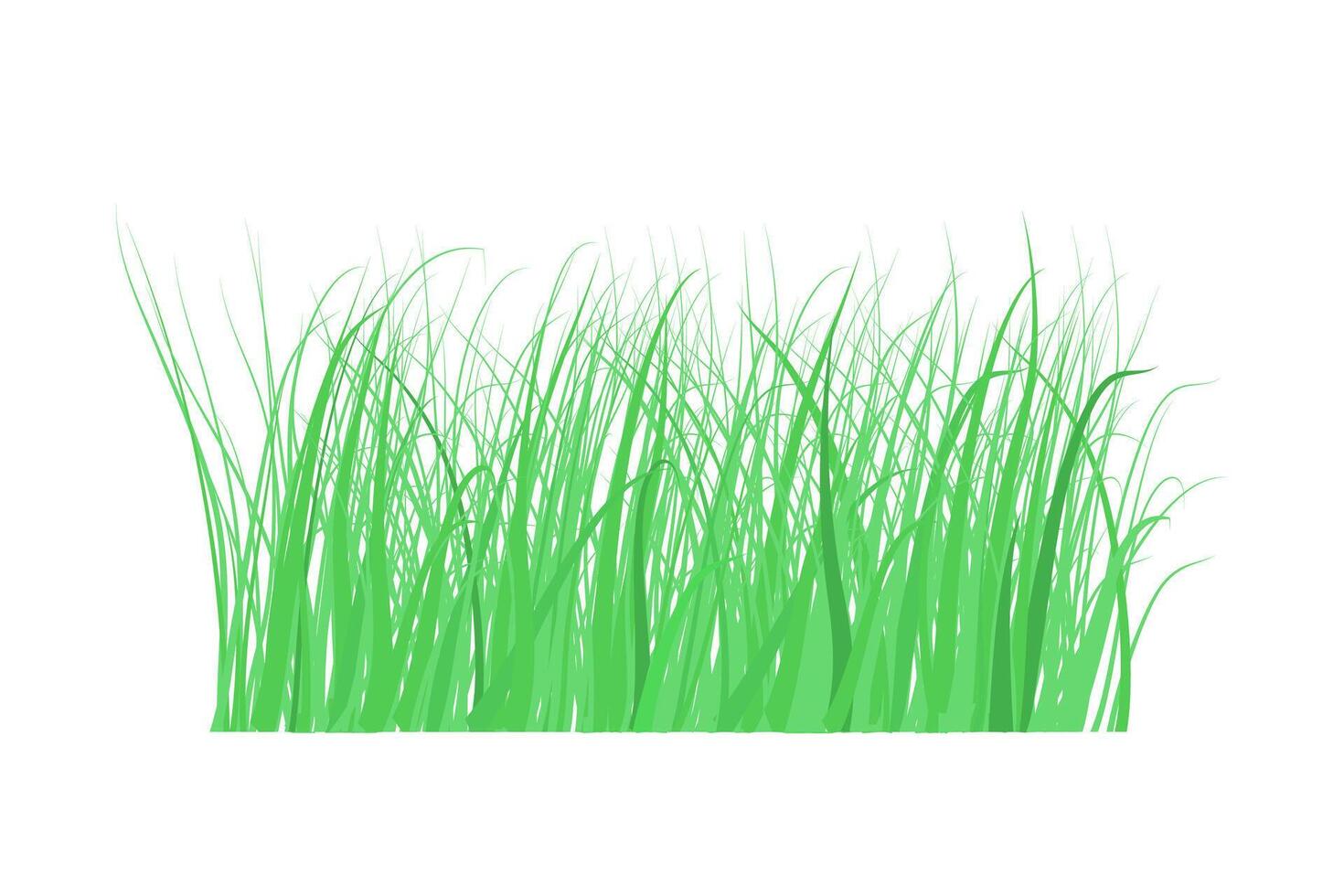 Green grass borders on white background. The grass is very popular in the front yard. vector