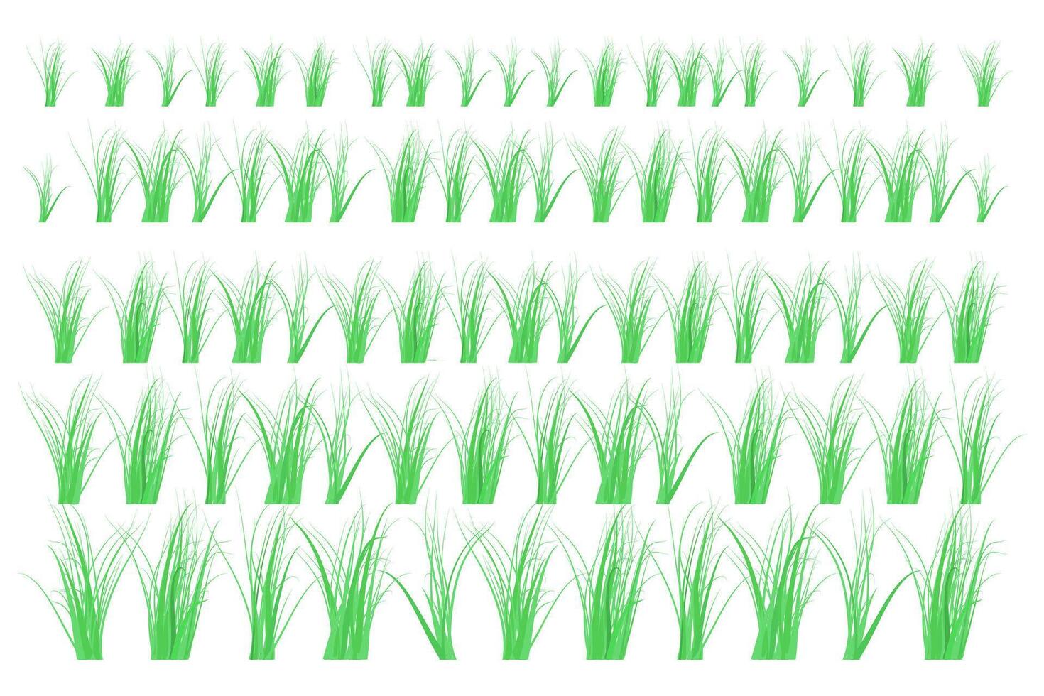 Grass borders on white background. The green grass is very popular. vector