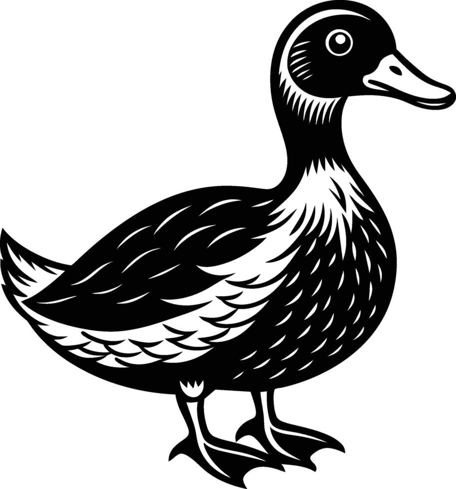 Duck standing illustration eps 10 vector