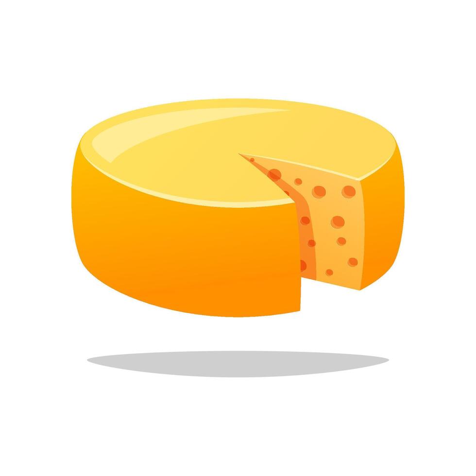 Cheese wheel isolated on white background. vector