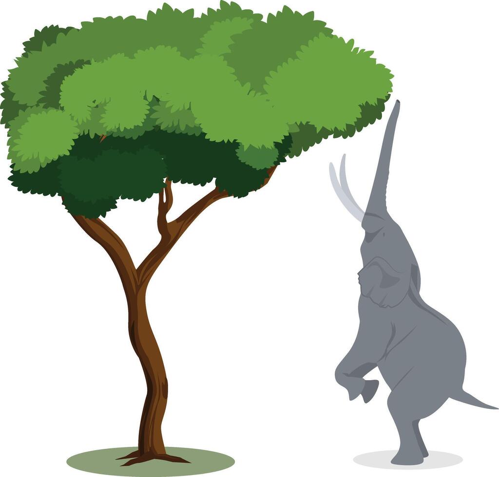 Elephant stands on its back legs to eat tree top leaves vector