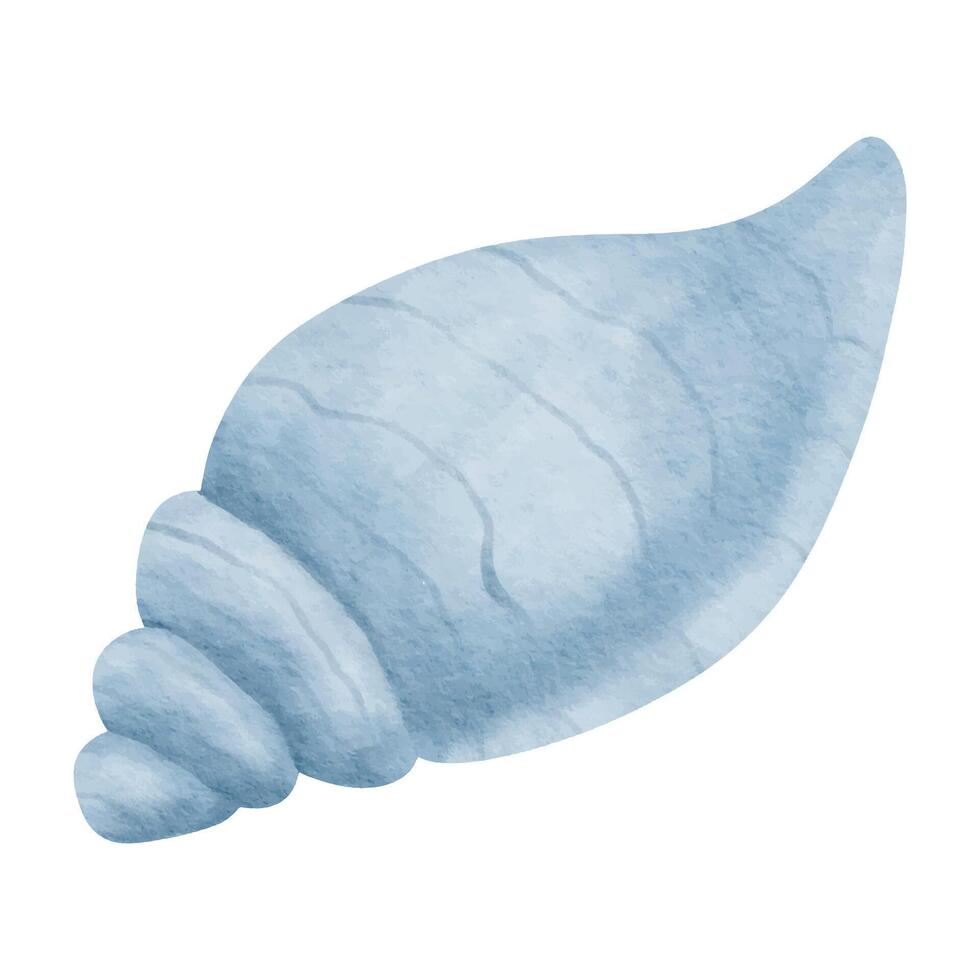 blue shell watercolor illustration vector