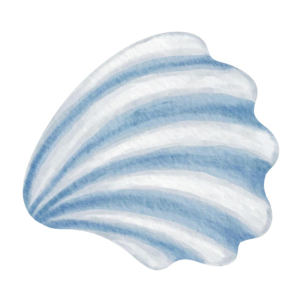 pretty shell watercolor illustration vector