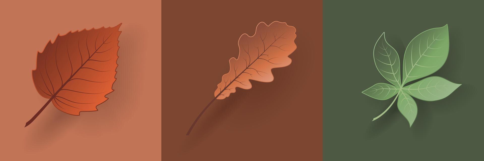 Autumn leaves set in paper cut style. 3d collection of fall leaf. Papercut craft elements for Origami paper natural forest objects for seasonal discount decoration, sale, web, presentation design. vector