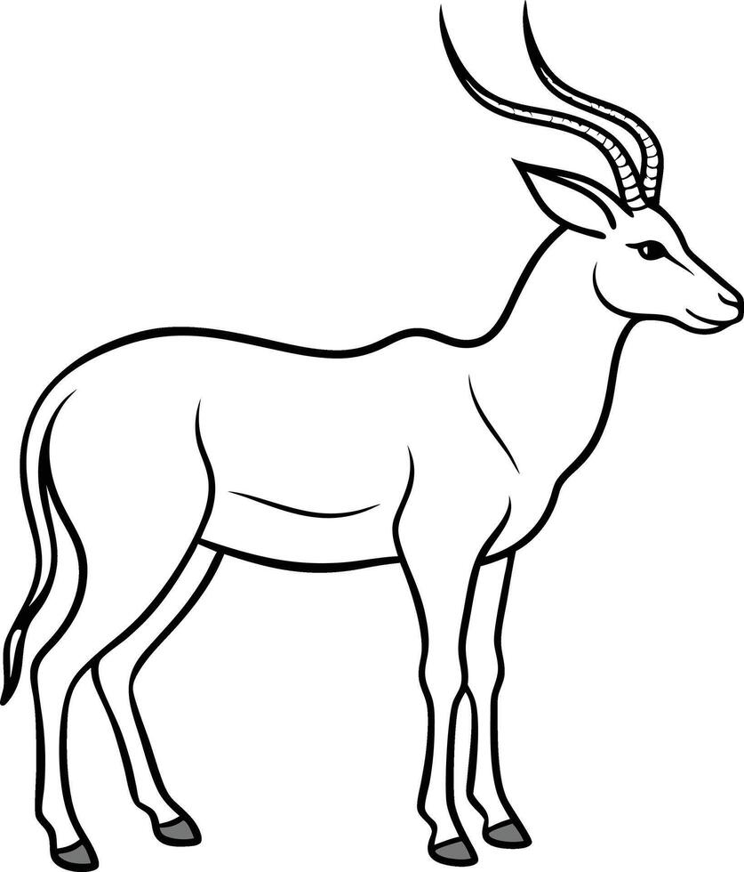 An Antelope outline illustration art, smooth line art like silhouette on white background vector