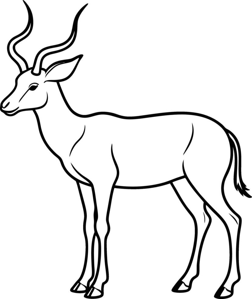 Antelope outline illustration art, smooth line art like silhouette on white background vector