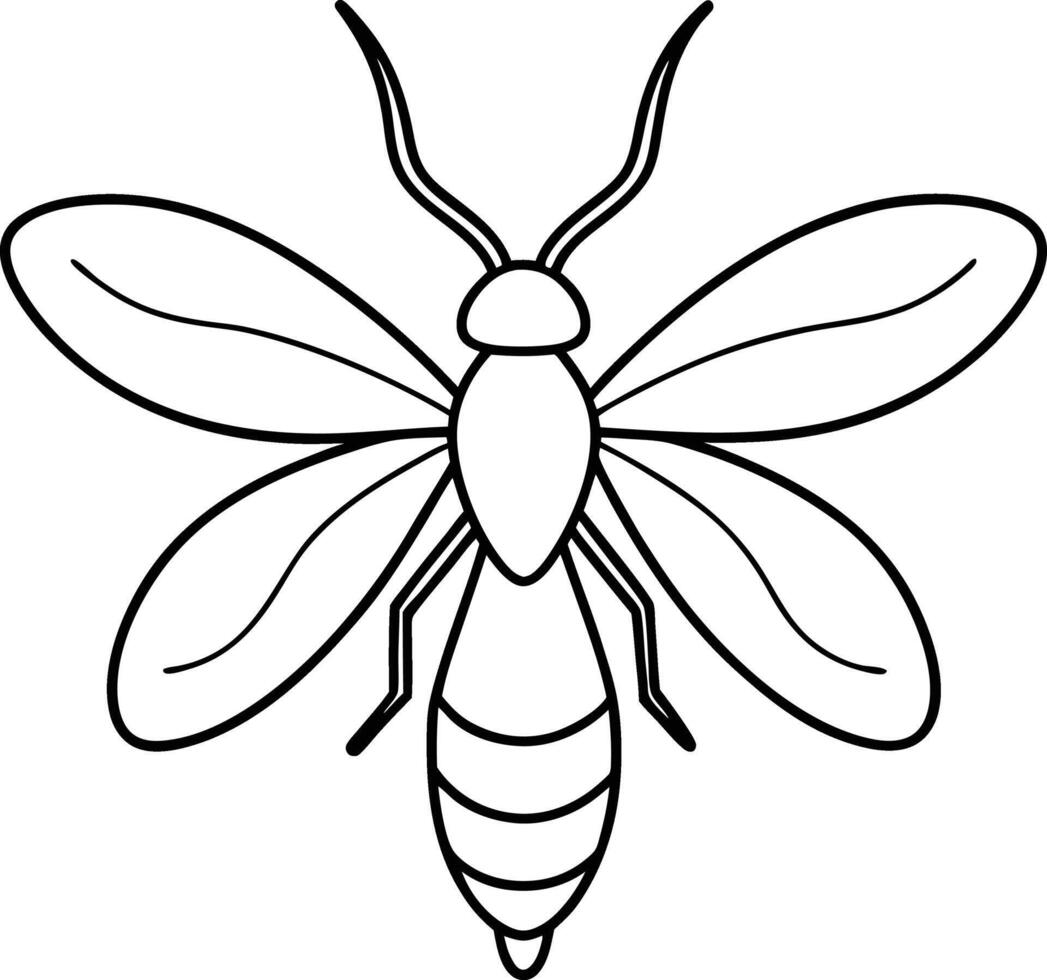 Firefly outline illustration art, smooth line art like silhouette on white background vector