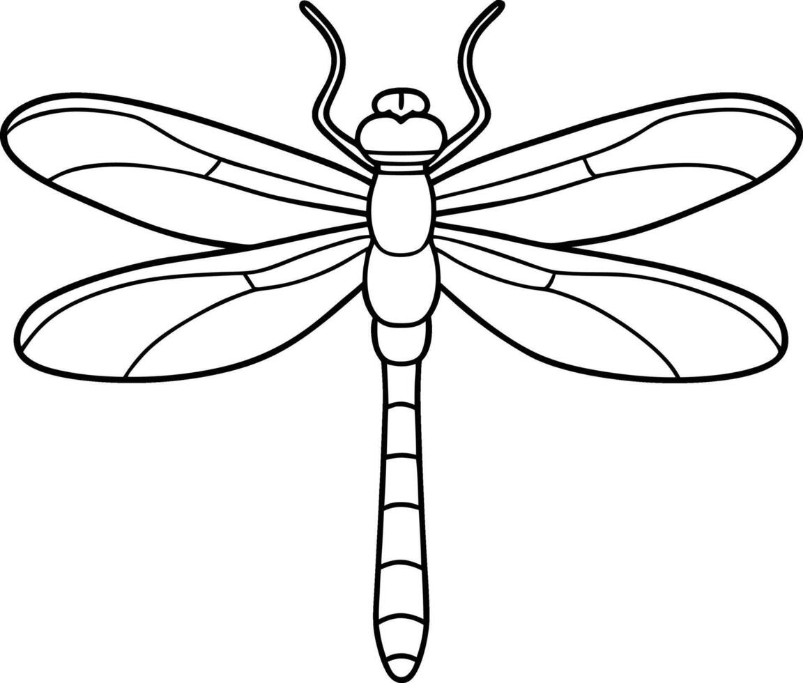 Dragonfly outline illustration art, smooth line art like silhouette on white background vector
