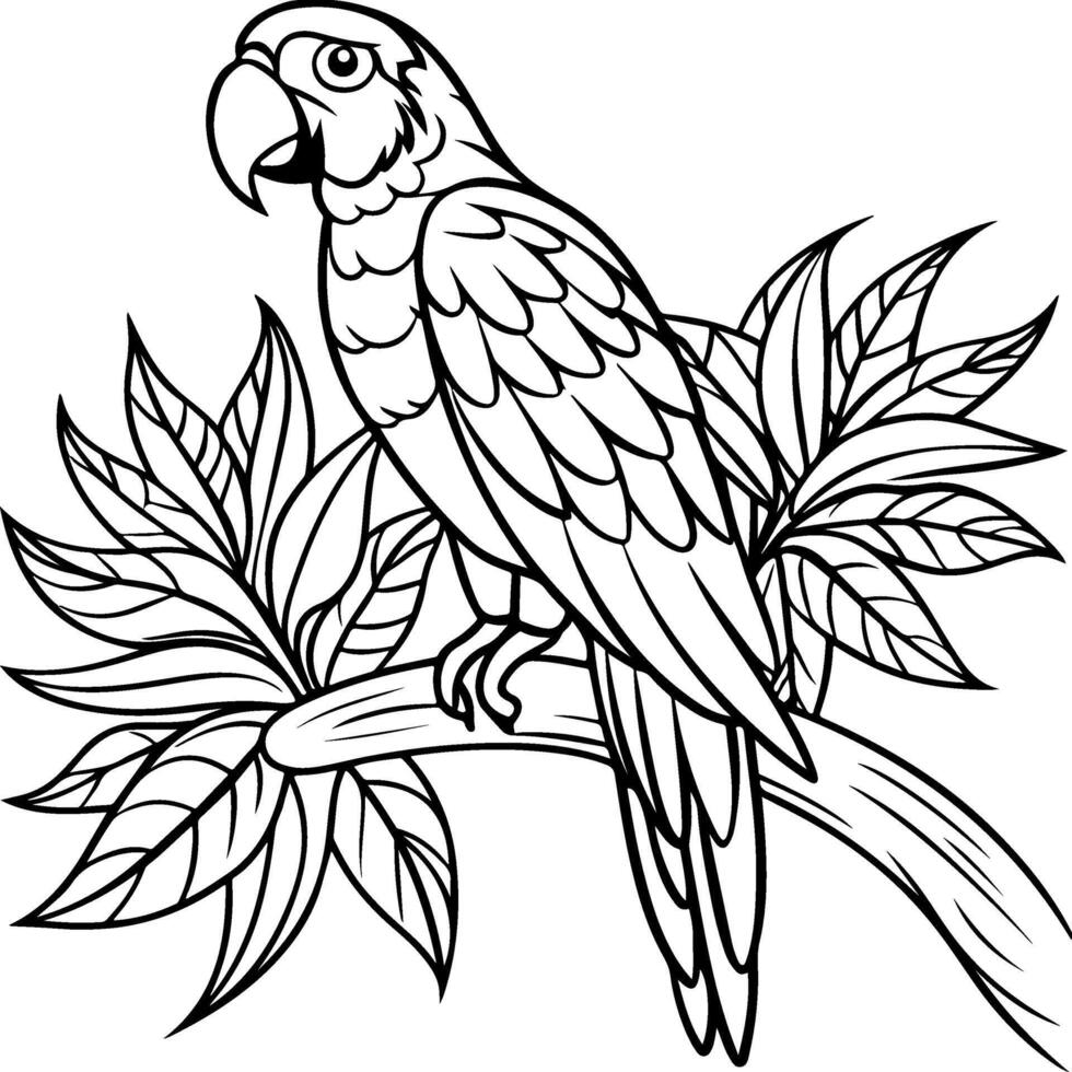 coloring pages for kids parrot black and white vector