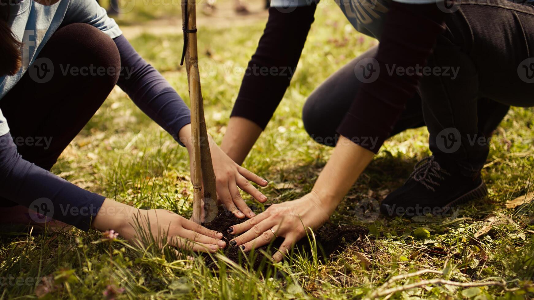 Safeguarding ecologic balance and natural environment, mother and child collaborate on planting trees in the forest. Activists dig holes for sprouts, supports sustainable lifestyle. Camera B. photo