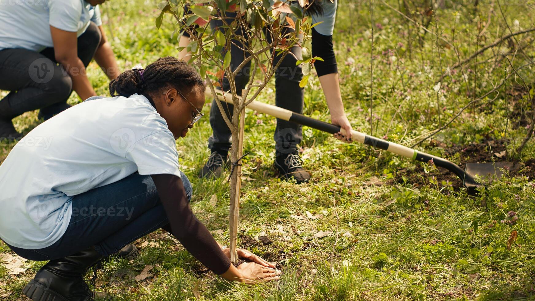 Team of volunteers planting trees in the forest by digging holes in the ground, giving life to the natural habitat and ecosystem. Activists doing voluntary work to save the planet. Camera A. photo