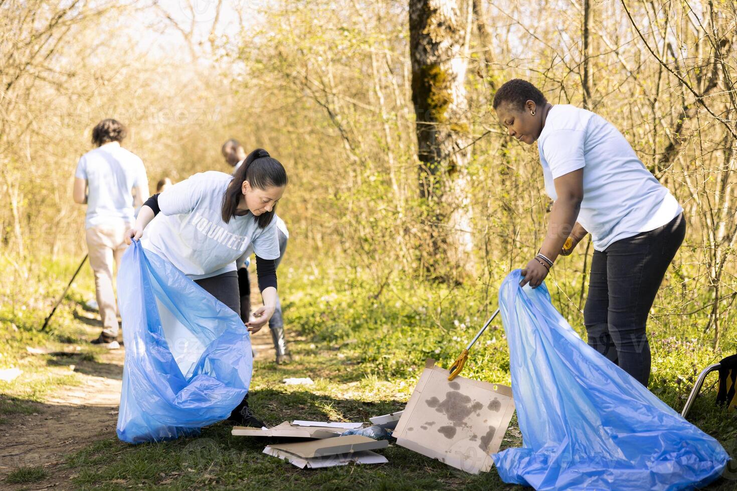 Diverse volunteers working to clear the forest from trash, fighting pollution to protect the natural ecosystem. Young team of activists collecting junk and plastic waste with tools. photo
