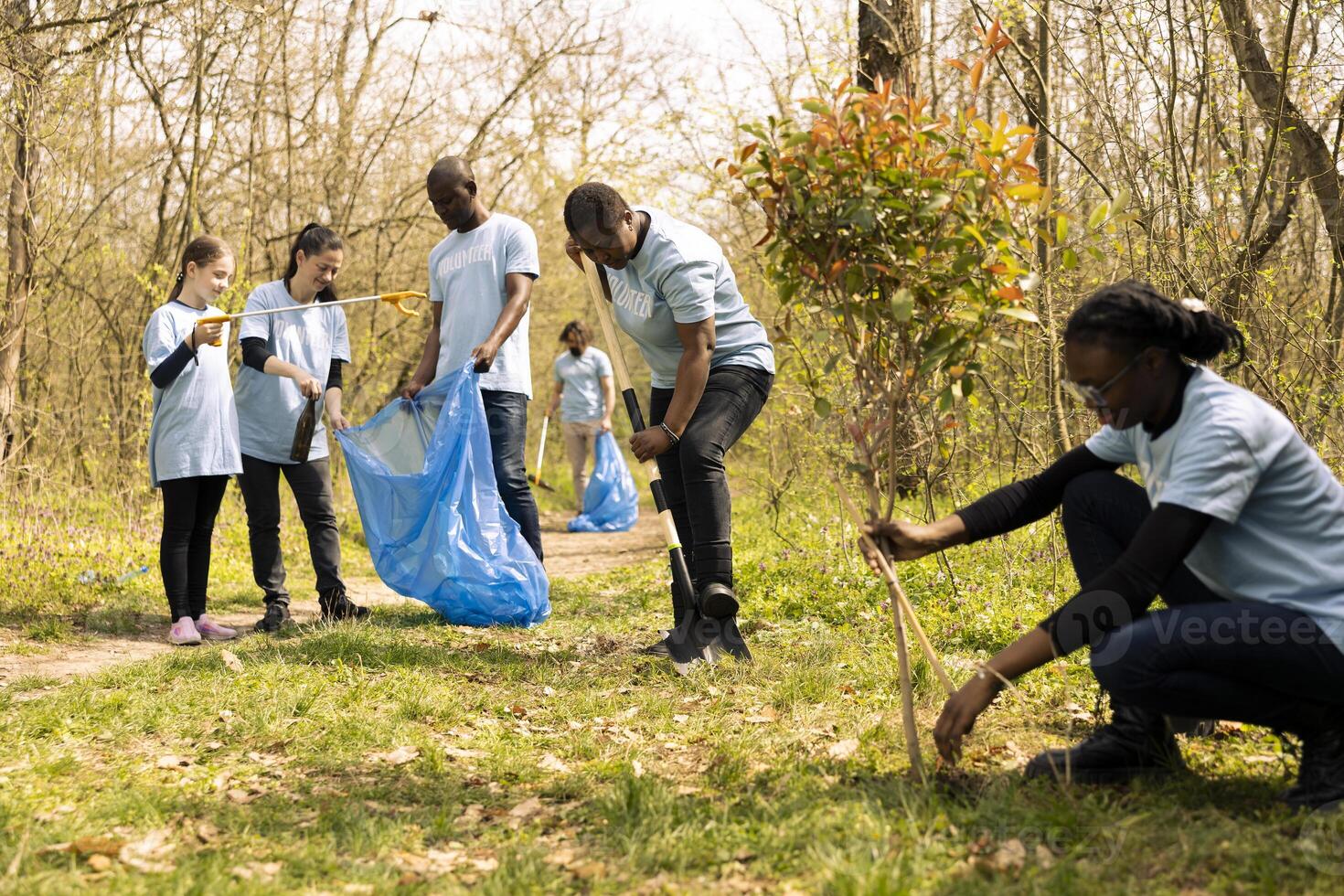 Team of volunteers picking up plastic trash to recycle for sustainable lifestyle, collect garbage and clearing the forest environment for conservation. Voluntary work to save the planet. photo