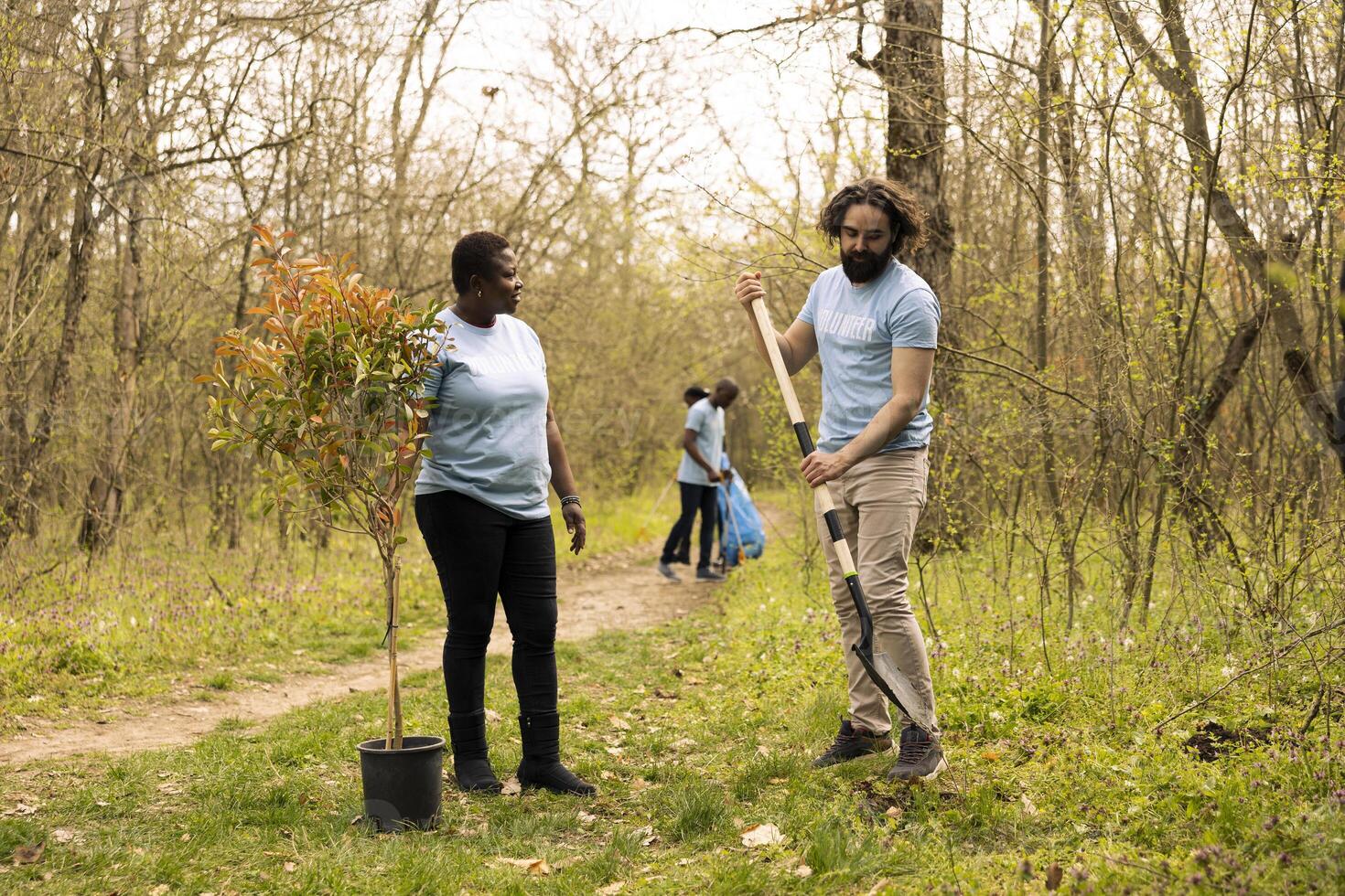 Team of diverse activists doing voluntary work to plant trees in the woods, protecting natural forest environment. Planting seedings for future generations, giving life and helping the planet. photo