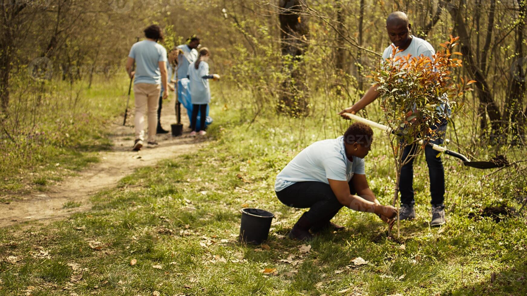 African american activists planting trees for nature preservation, helping with sustainability and ecosystem conservation. Volunteers team joining hands for environmental care, plant seeds. Camera B. photo