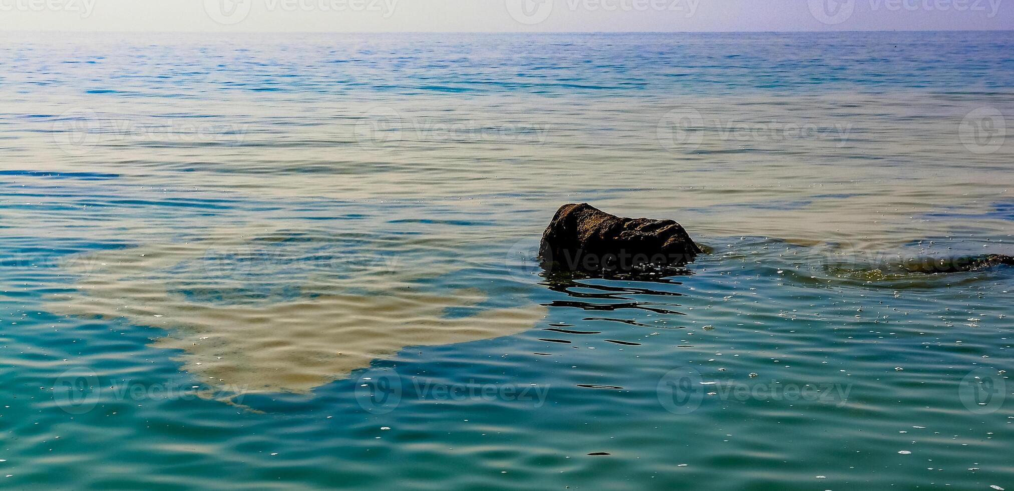 Nodularia spumigena, ecological disaster, a toxic blue-green algae bloom in the Black Sea photo