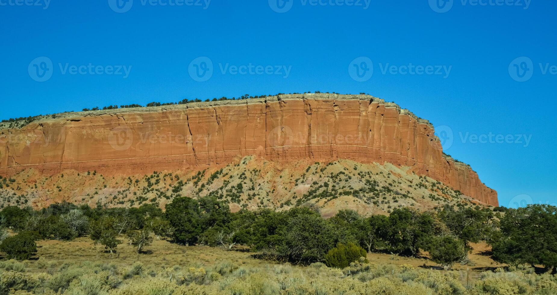 Diverse sedimentary rocks and clay washed out by water. Petrified Forest National Park, USA, Arizona photo