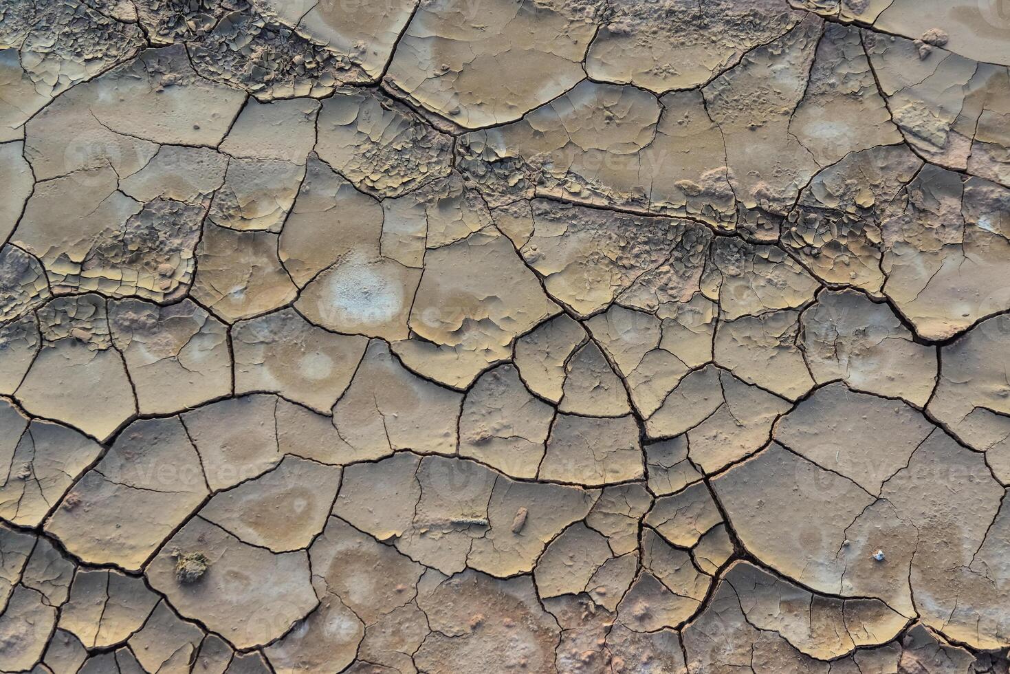 Cracked red clay and white salt on the surface in a dried riverbed in the desert of New Mexico, USA photo
