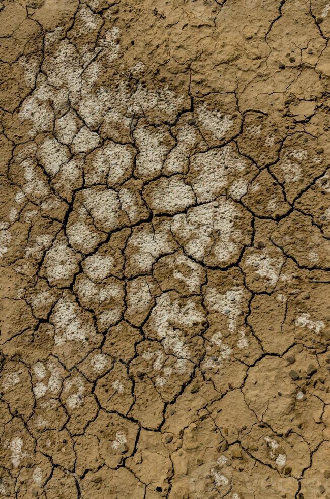 A pattern on dried silt. Dry land in the desert, Utah US photo
